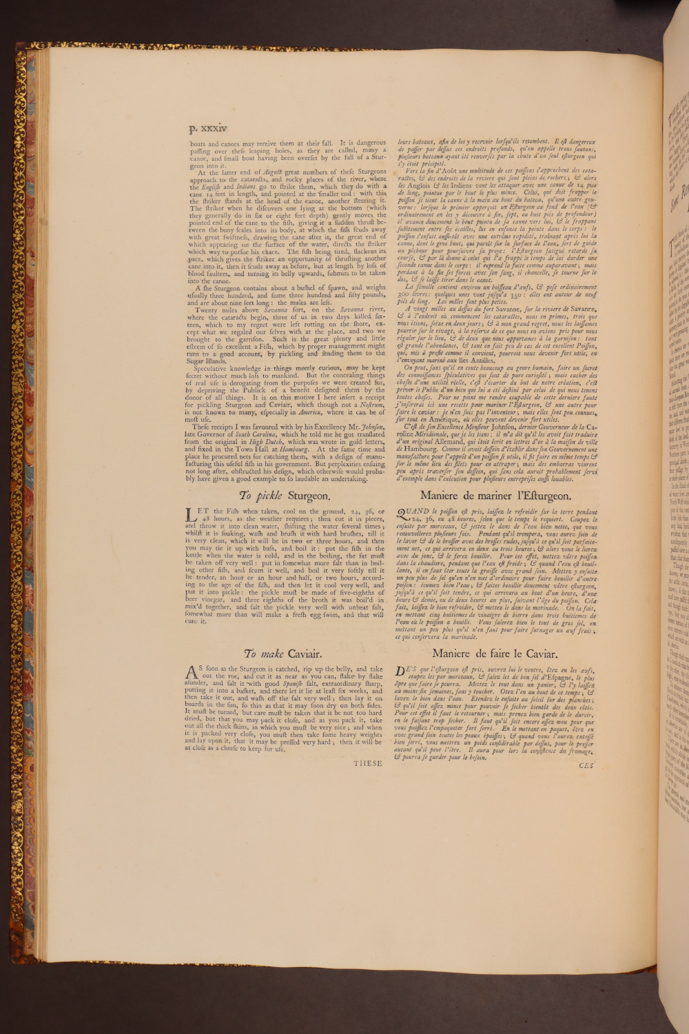 Page xxxiv